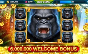 beebet789